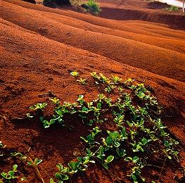 奇怪的联动 《Roblox》正在出售《阴间大法师2》的电影票